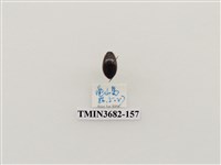 藏品(鞘翅目(2))的圖片